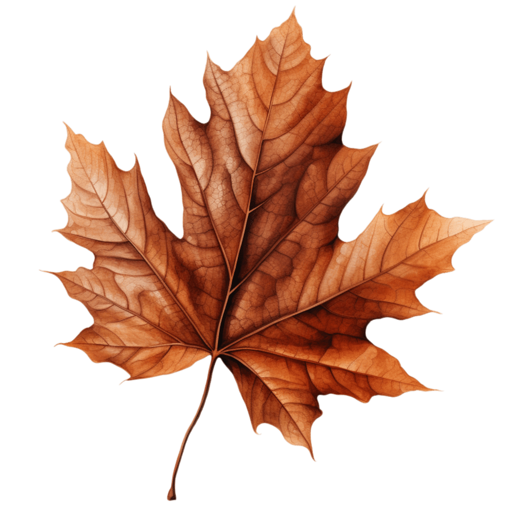 Part of the&nbsp;Silence