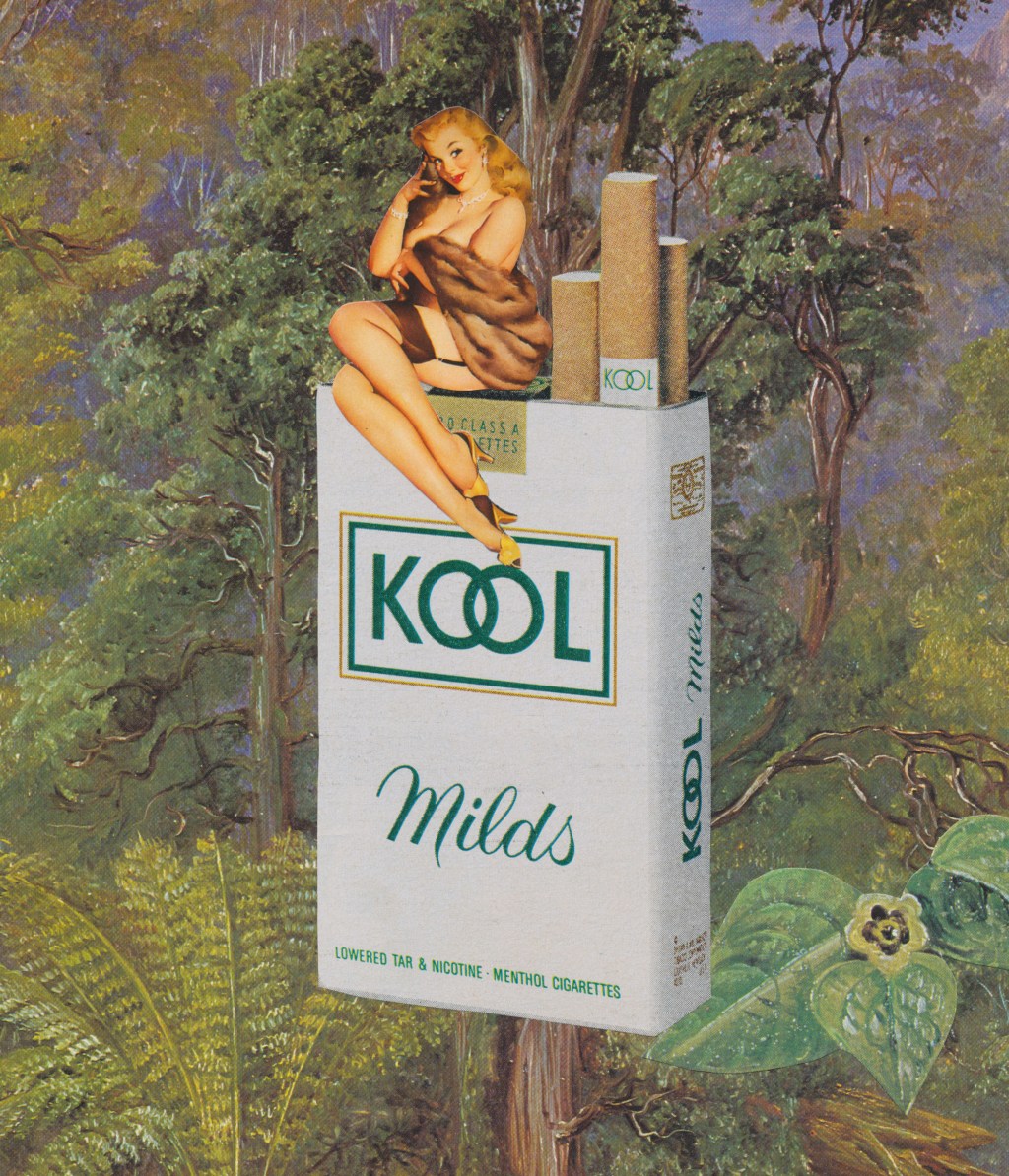 In the Wild & Other&nbsp;Art