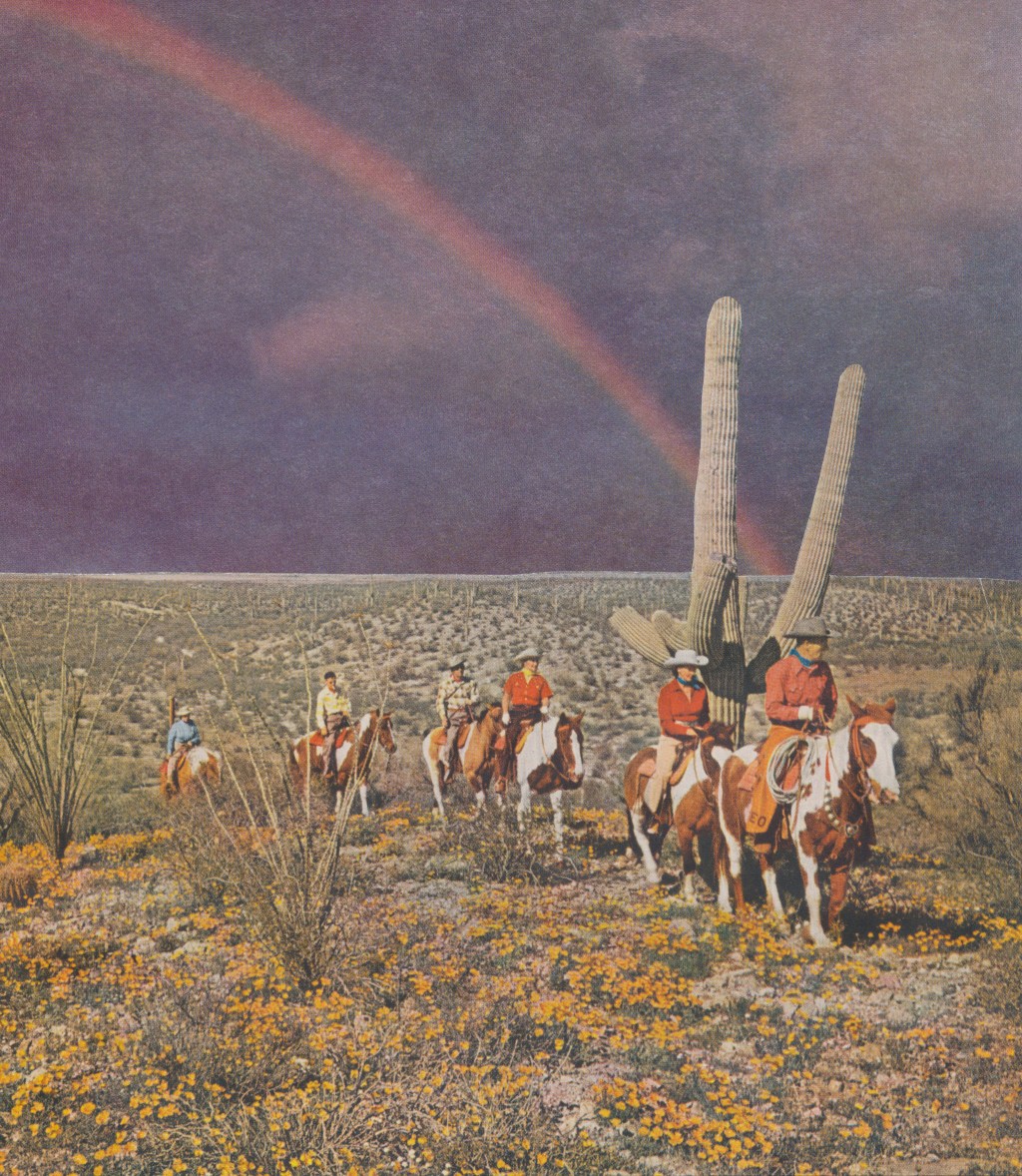 A Journey Under the Rainbow & Other&nbsp;Art