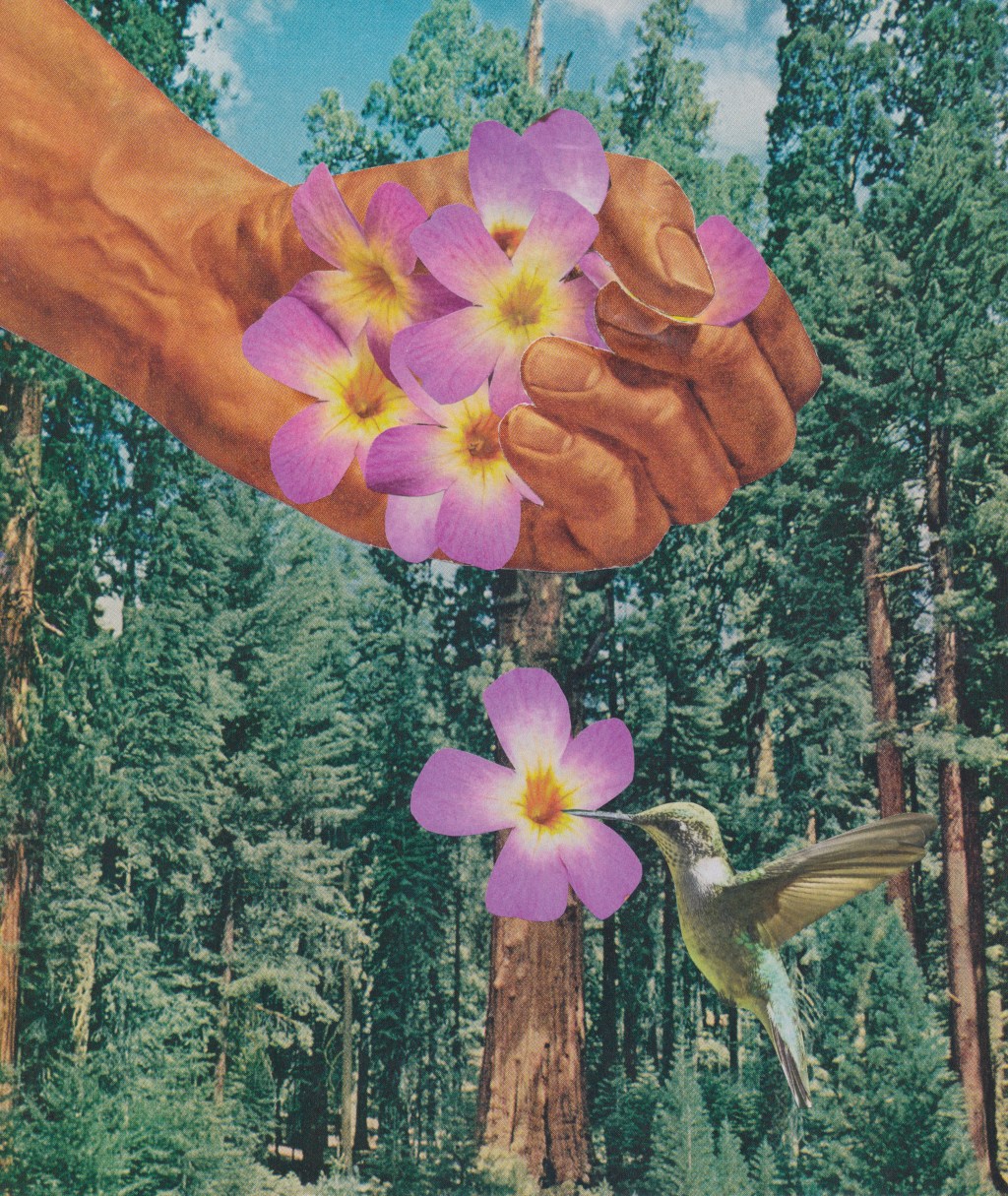 It’s Springtime in the Forest & Other&nbsp;Art