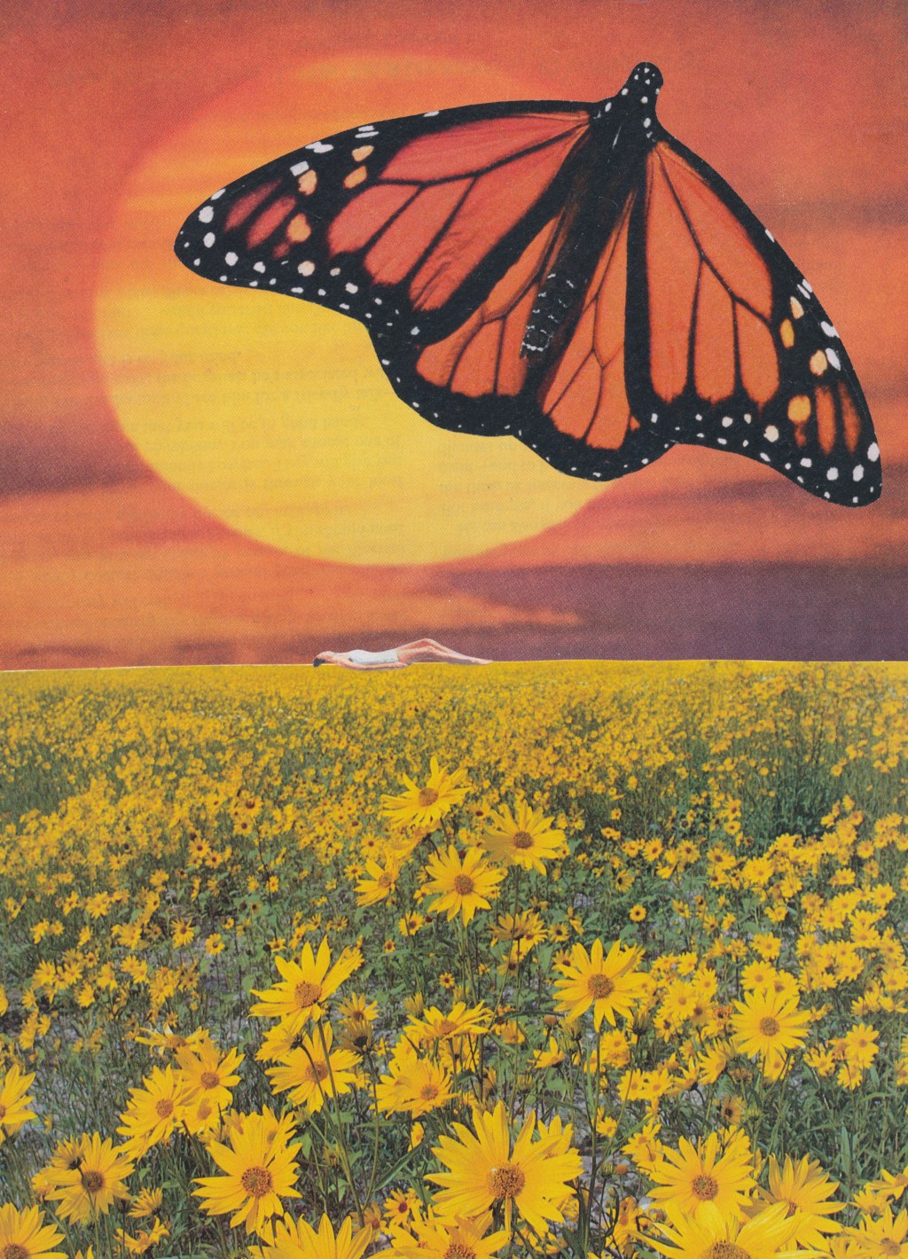 Metamorphosis & Other Art