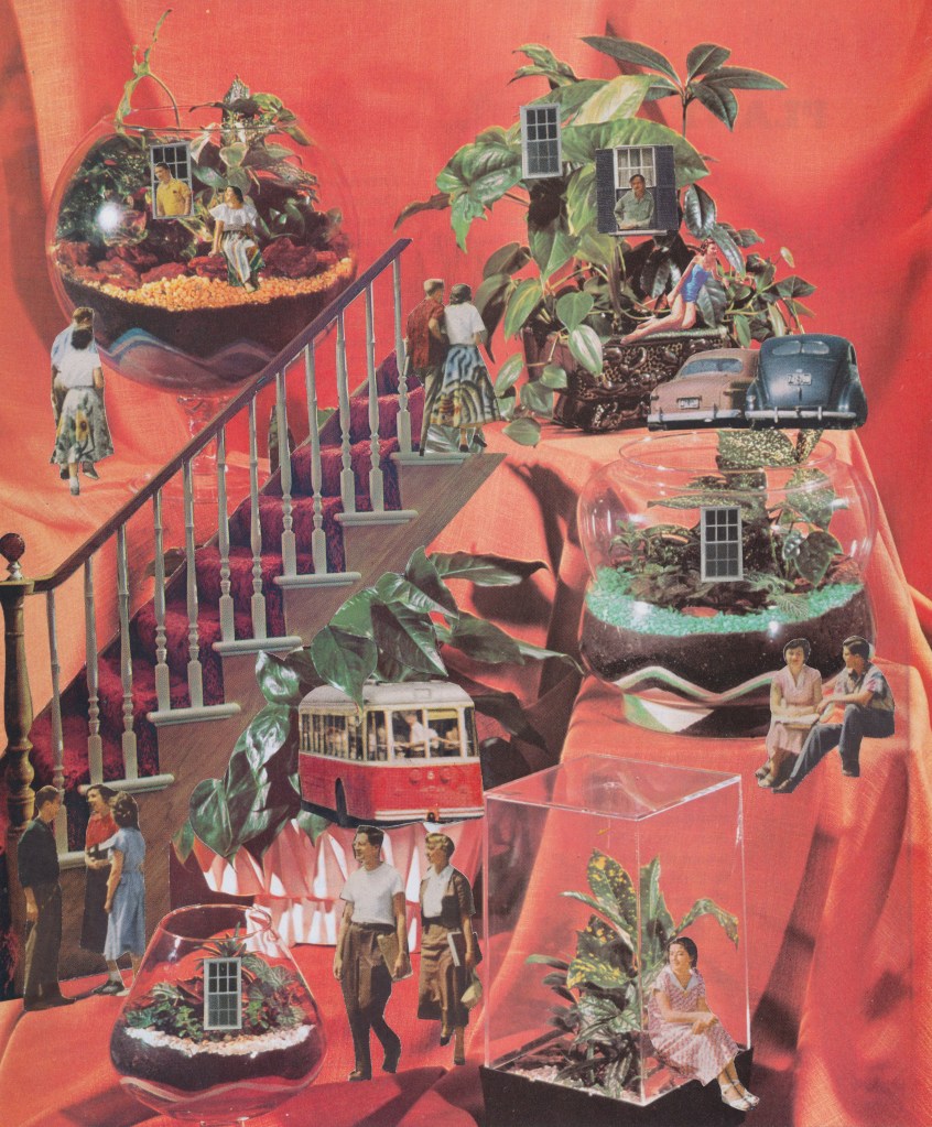 Terrarium Town – The Used Life